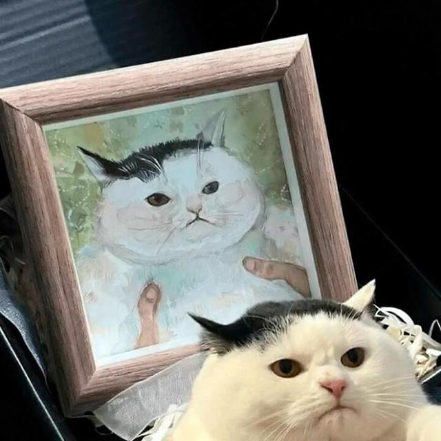 Кот лежит рядом с рамкой, где изображён портрет, похожий на него; сходство между питомцем и картиной выглядит юмористически и немного сюрреалистично.