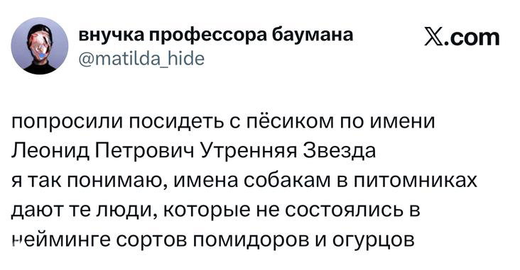 Миниатюрный скриншот твита с ироничным комментарием о том, как выбирают имена для собак и питомников.