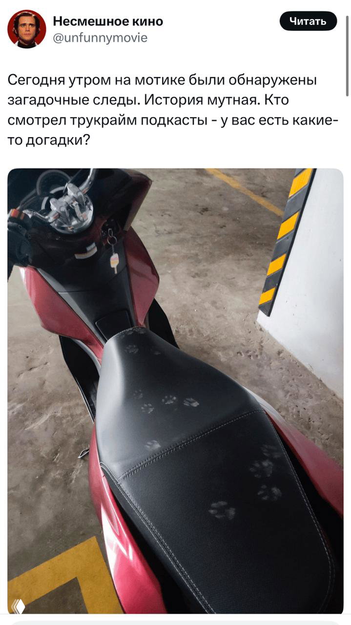 Скриншот твита с фотографией мотика и следов на сиденье; подпись просит подсказки о загадочных следах.