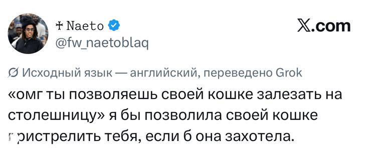 Скриншот твита с шутливым переводом про кошку и столешницу: видна надпись автора, метки X.com и формат цитирования оригинального сообщения.