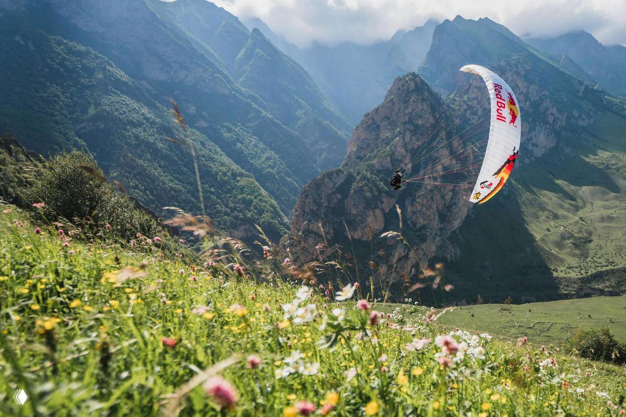 Параплан над цветущим альпийским лугом на фоне высоких гор: пилот на крыле в воздухе, горный пейзаж и полевые цветы на переднем плане.