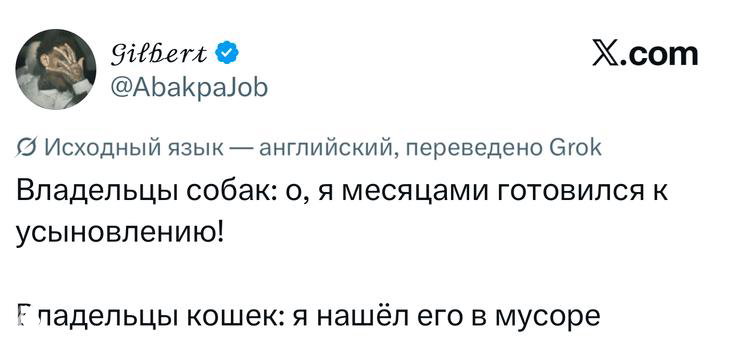 Скриншот твита с коротким наблюдением: различия в поведении владельцев собак и кошек, поданная в комическом ключе реплика.