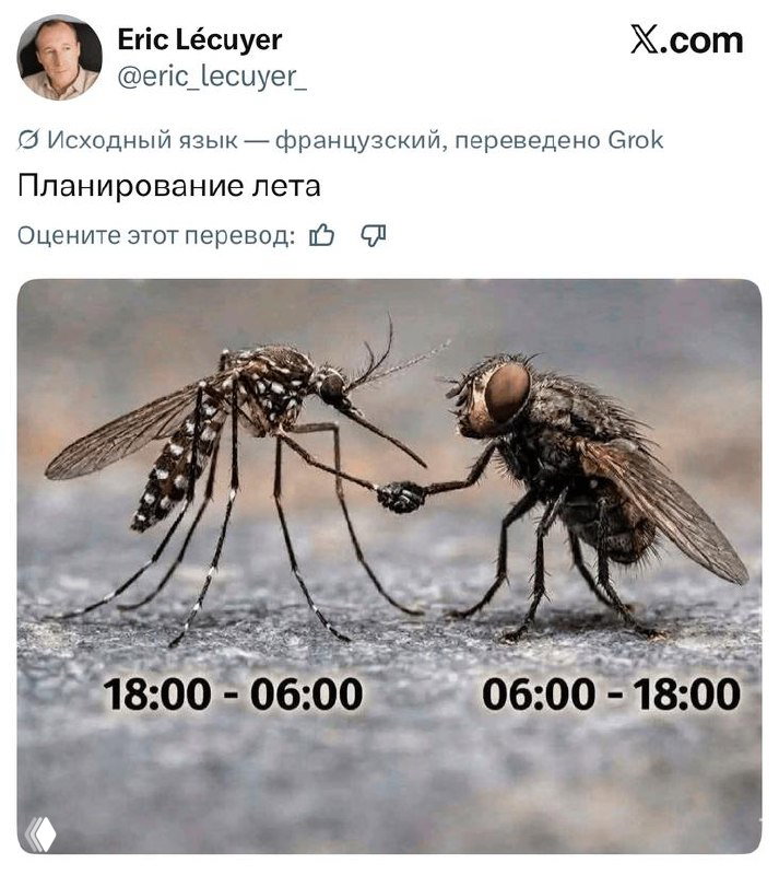 Мем с комичной иллюстрацией комара и мухи с подписями 18:00-06:00 и 06:00-18:00, иллюстрирующий ночной и дневной распорядок насекомых.