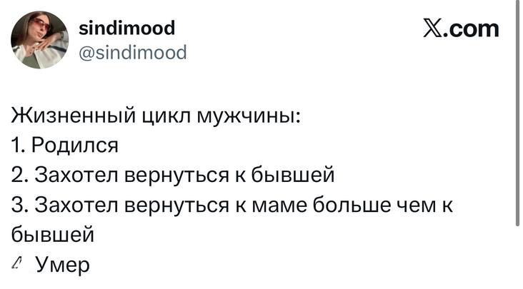 Скриншот второго твита: нумерованный список «Жизненный цикл мужчины» с ироничными пунктами; видно оформление X и ник автора.