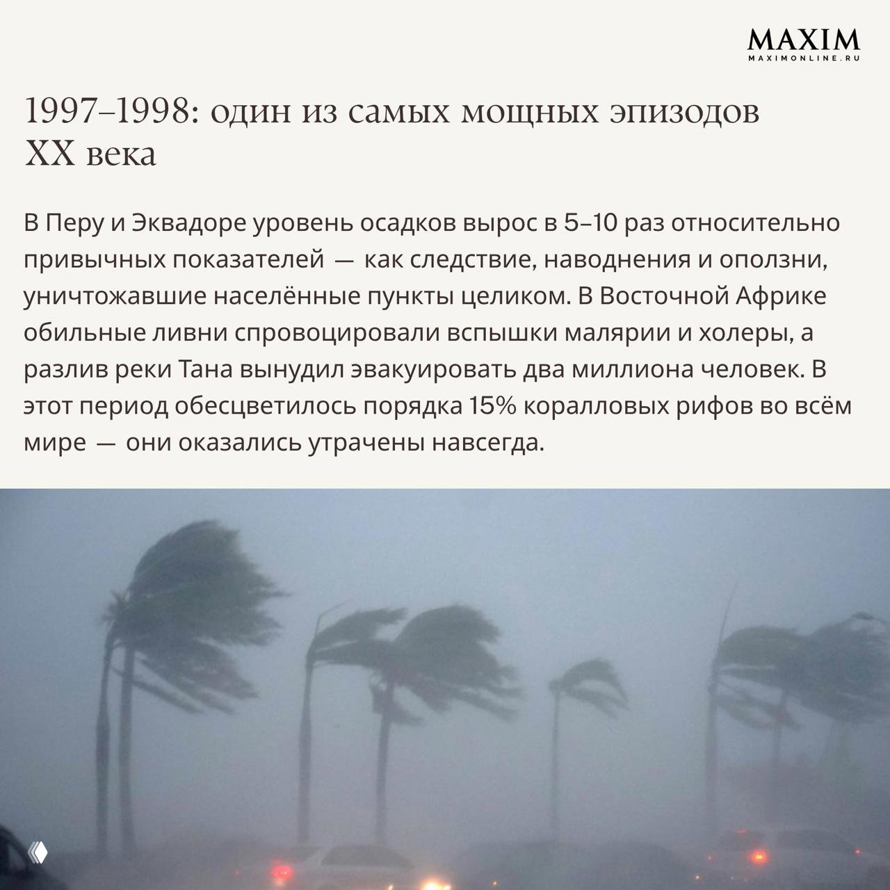Сильный ураганный ветер и наклонённые пальмы на фоне дождя — визуализация экстремальных штормов, связанных с изменениями климата и циклом Эль-Ниньо.