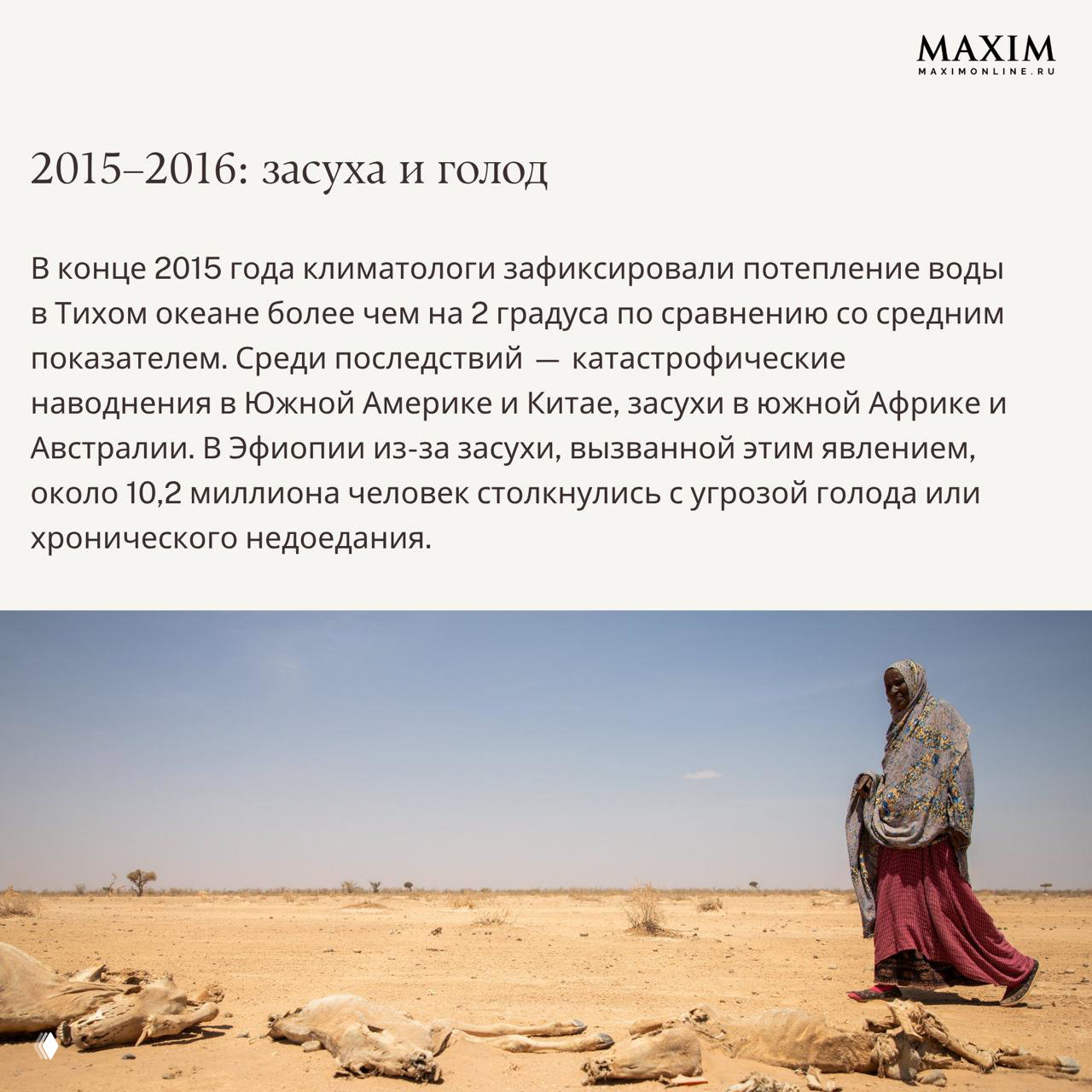 Высохшая земля, погибший скот и женщина на пустынной равнине — изображение последствий засух и голода, вызванных сильным потеплением океана во время Эль-Ниньо.