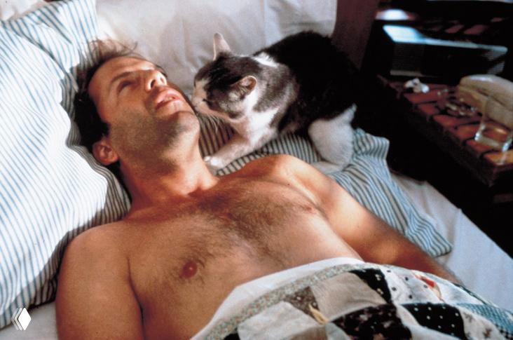 Новое исследование: кошки больше любят мужчин, чем женщин