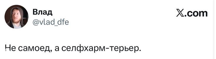 Скриншот короткой шутки-версии «Не самоед, а селфхарм-терьер» в виде твита с минималистичным оформлением и белым фоном текста.