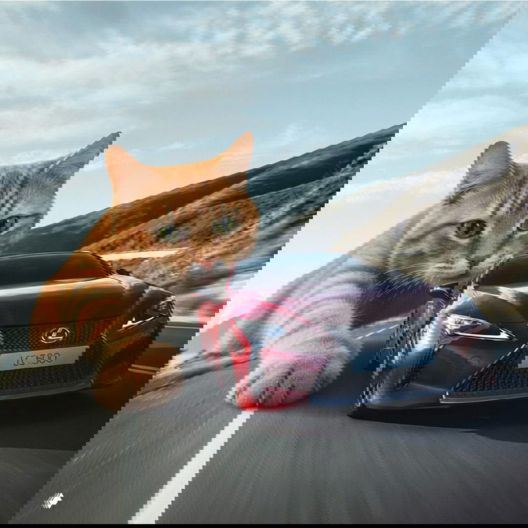 Красный спортивный Lexus LC500 на шоссе, рядом с ним крупный оранжевый кот будто играет с машиной — визуальный рекламный образ бренда.