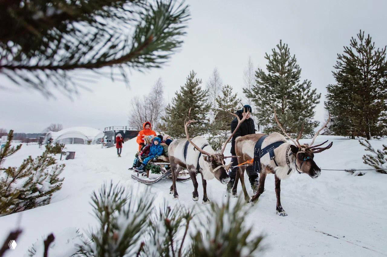 Новый год в маленьких городах и лесу