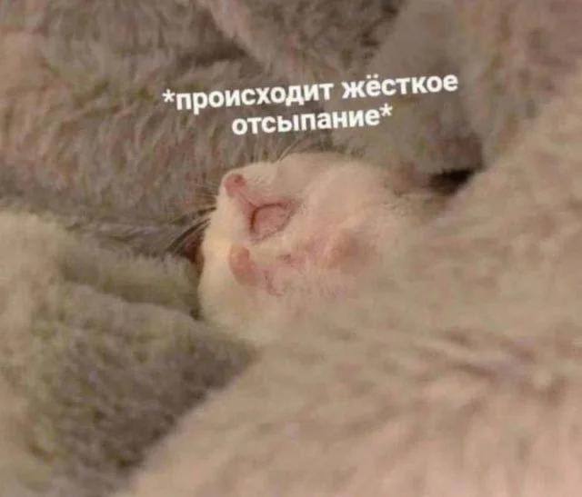 Фотография подарка с надписью «БАНТИК» и ироничным комментарием о красивой упаковке — мем про формальность подарков.