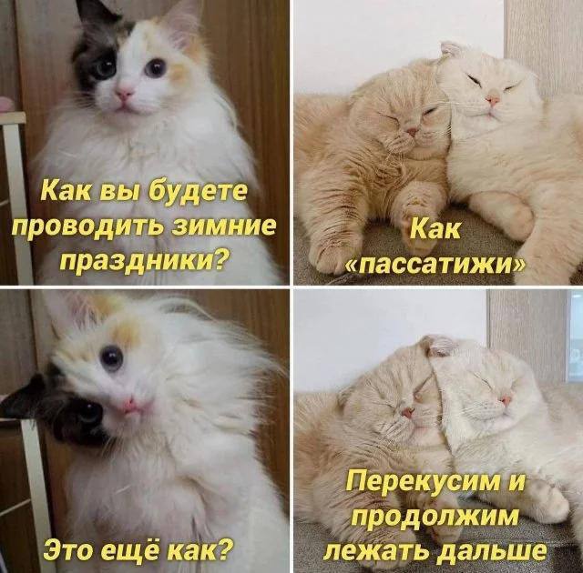 Сладко спящий кот с подписью «*происходит жёсткое отсыпание*» — мем о желании отдохнуть в праздники и выспаться.