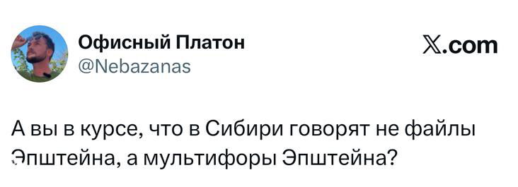 Скриншот твита с игрой слов о «мультифоры Эпштейна» — региональная шутка в лексике пользователей Сети.