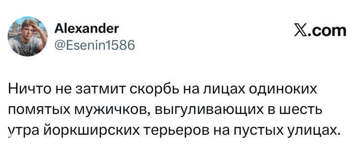 Самые смешные шутки пятницы