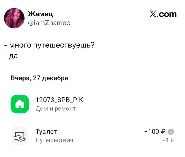 Скриншот со списком транзакций в приложении: смешной диалог про путешествия и чек с пометкой «Туалет», интерфейс банковского приложения на светлом фоне, юмористический контекст платежей.