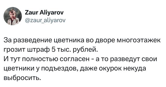 Скриншот твита с шуткой про штраф за разведение цветника у многоэтажки и саркастическим замечанием о некуда выбросить окурок.
