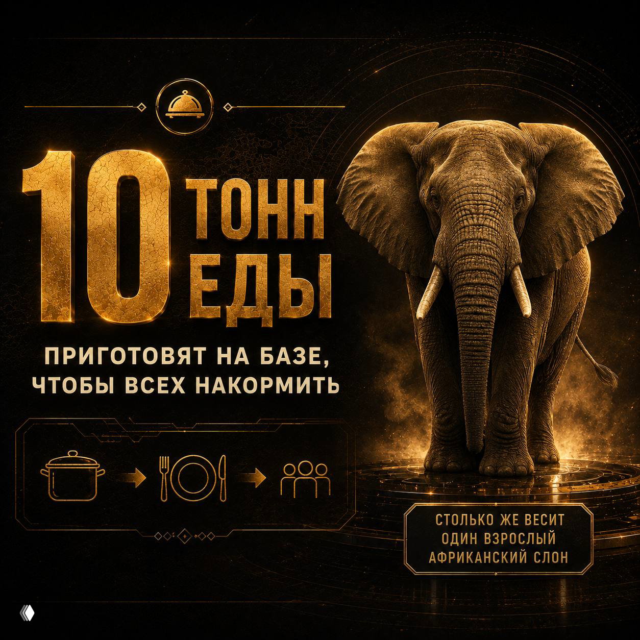 Инфографика о питании: крупная надпись «10 тонн еды» с изображением слона и сравнение веса одной порции с весом взрослого африканского слона.