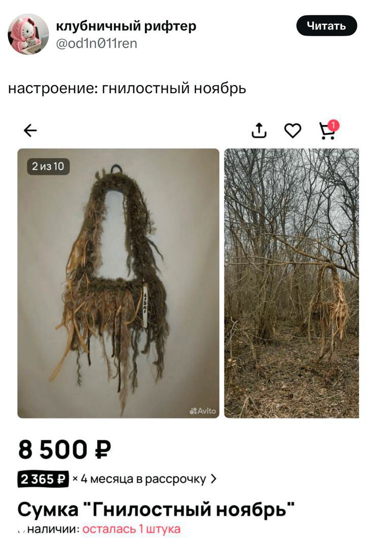 Самые смешные шутки пятницы и «гнилостный ноябрь»