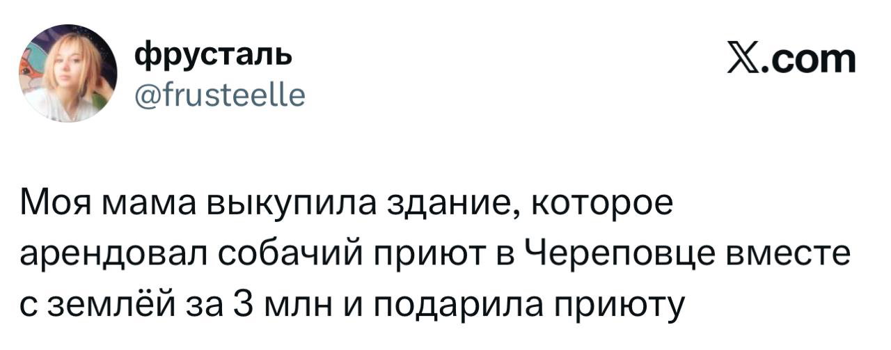 Скриншот твита о маме, купившей здание и землю для приюта собак в Череповце — история благотворительности и заботы о животных.