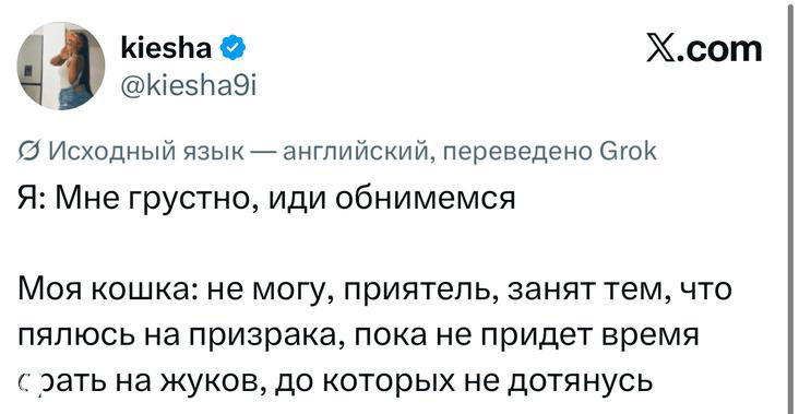 Скриншот твита про кошку и призрак: автор делится смешной заметкой, текст в карточке X с подписями и эмодзи.
