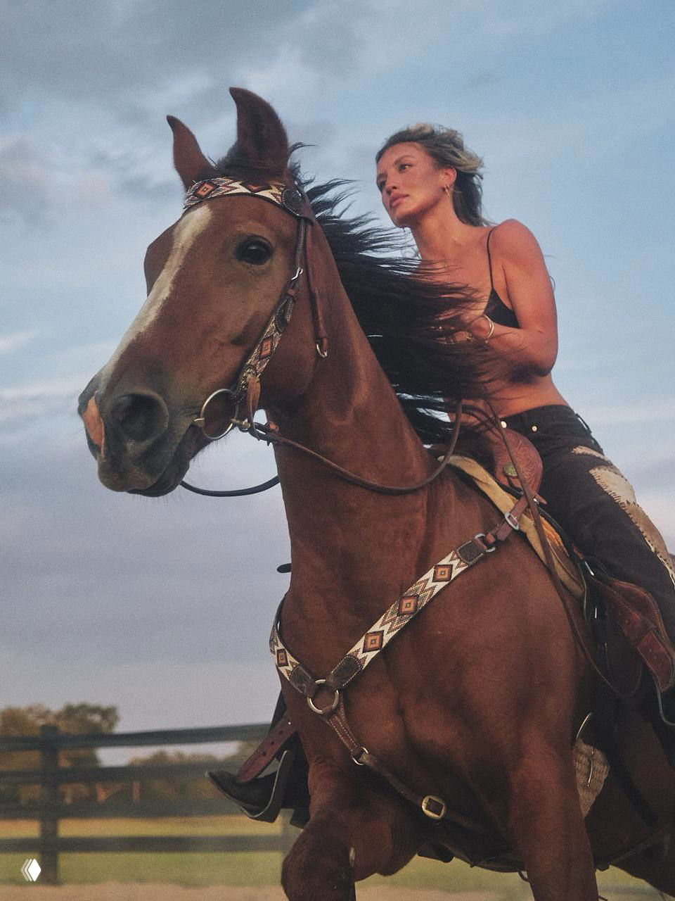 Динамичный портрет верховой езды: женщина держит поводья на скакущей лошади, ветер развевает волосы, степной пейзаж позади.