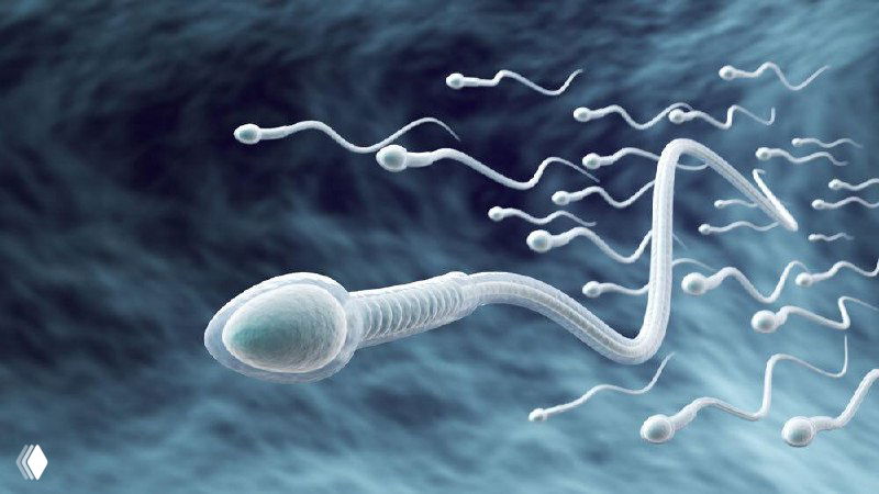 Минздрав предлагает спермограмму для посетителей саун