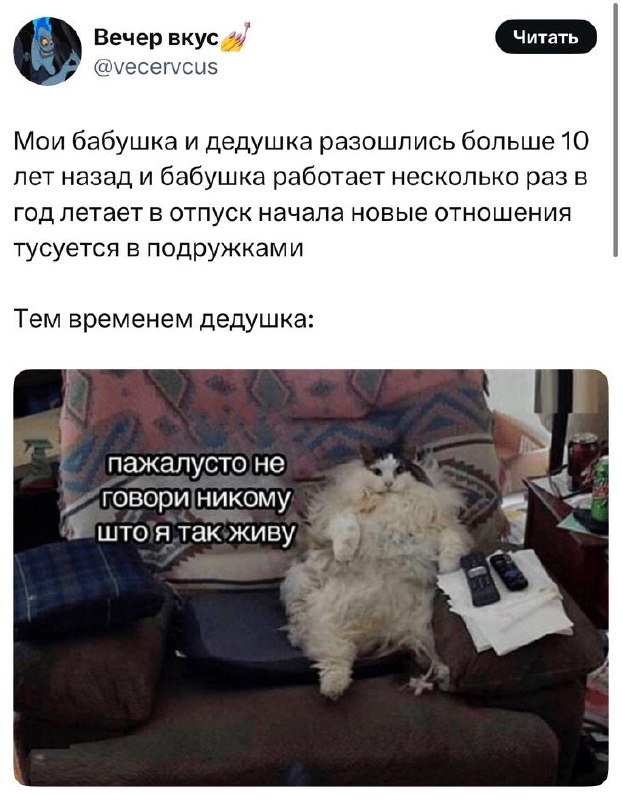 Мем со снимком упитанного кота в кресле и подписью «пожалуйста не говори никому что я так живу», на фоне истории о бабушке и дедушке.