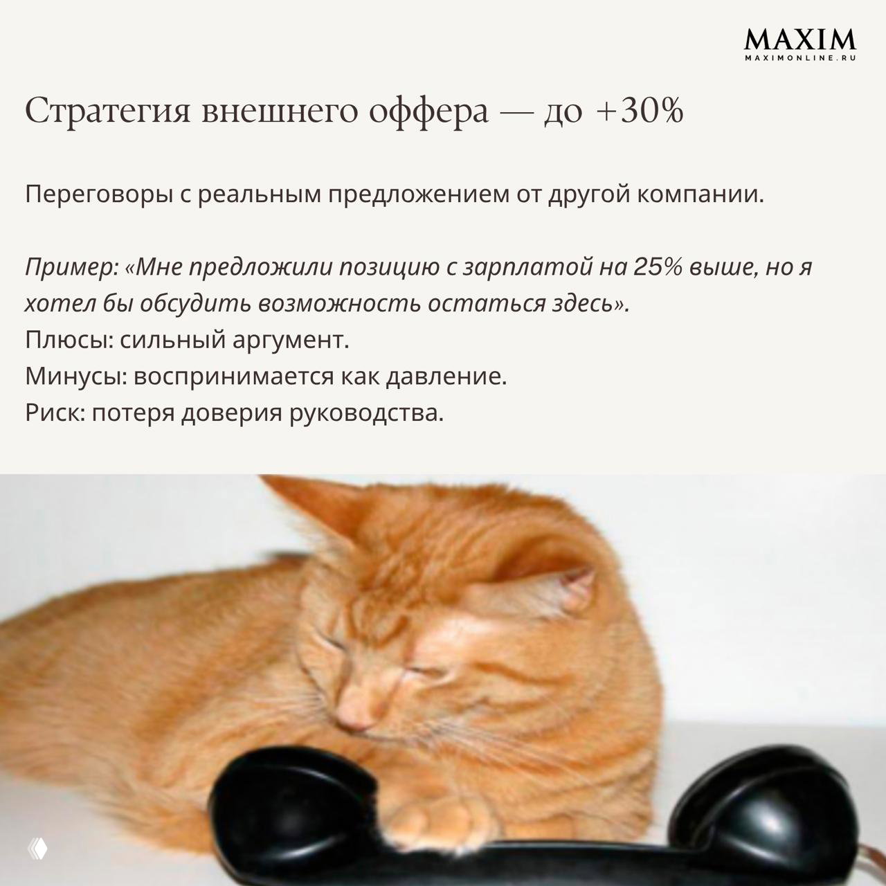 Рыжий кот с телефонной трубкой как метафора переговоров: визуал к материалу о внешнем оффере и переговорах с работодателем.