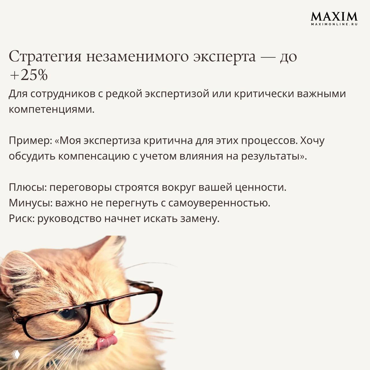 Крупный план рыжего кота в очках — визуал к разделу о ценности экспертизы и рисках при обсуждении повышения зарплаты с руководством.