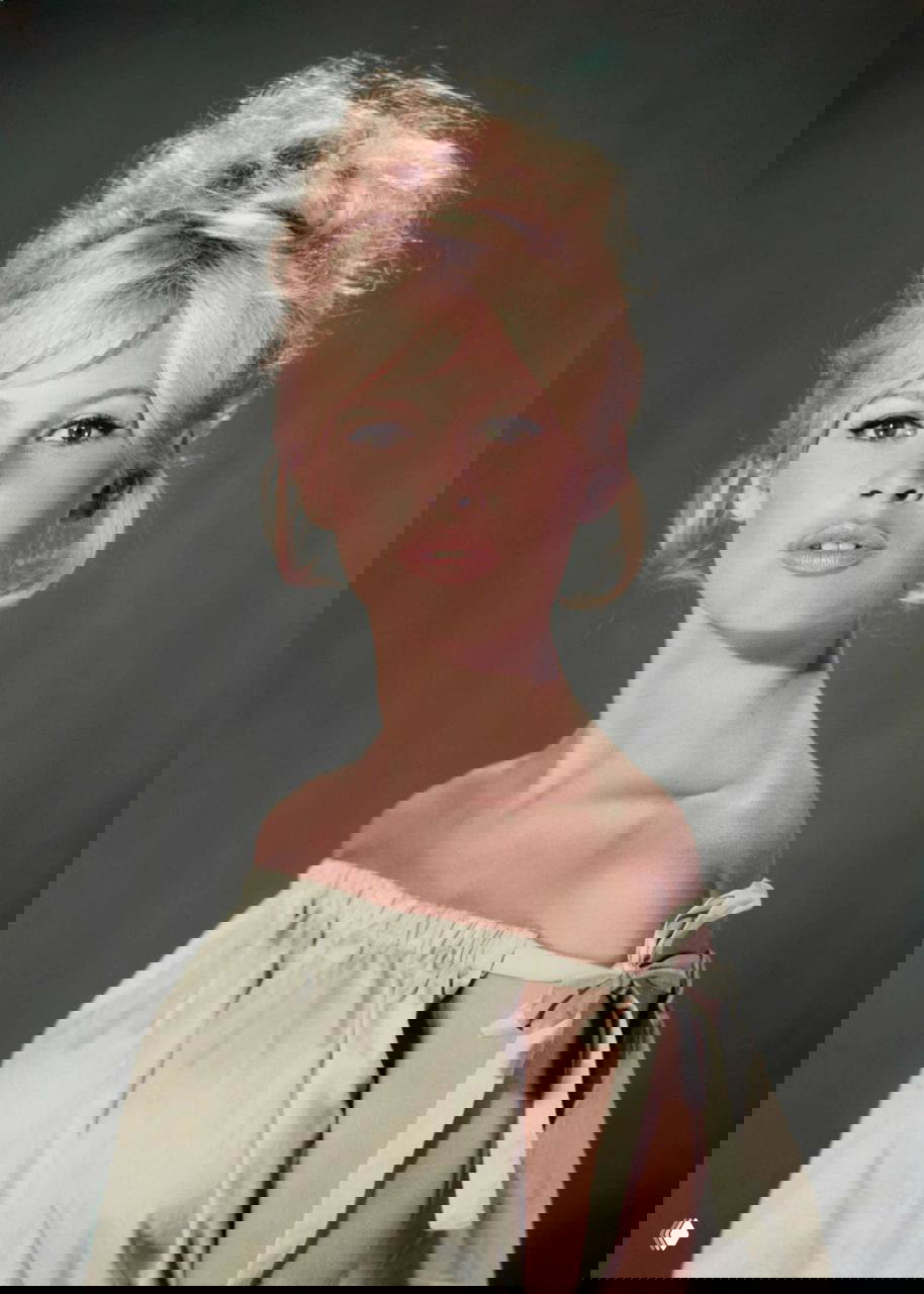 Классический портрет Бриджит Бардо в световом студийном оформлении, видна причёска «вечерний пучок», ретро-фото актрисы.