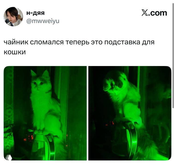 Две фотографии кота в зелёном ночном освещении: коллаж-скриншот твита, кот сидит на металлической подставке в смешном ракурсе.