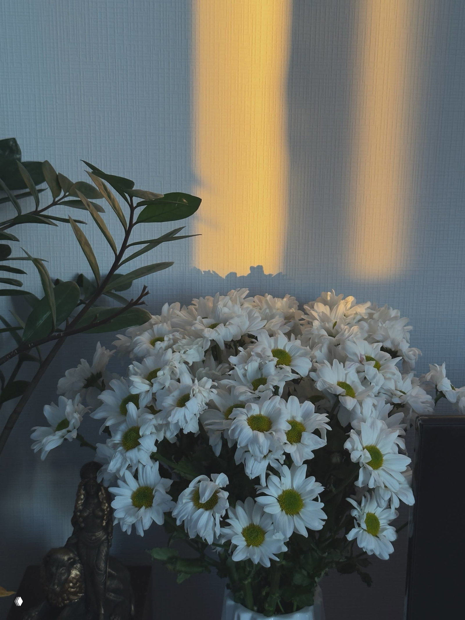 Доброе, доброе утро.