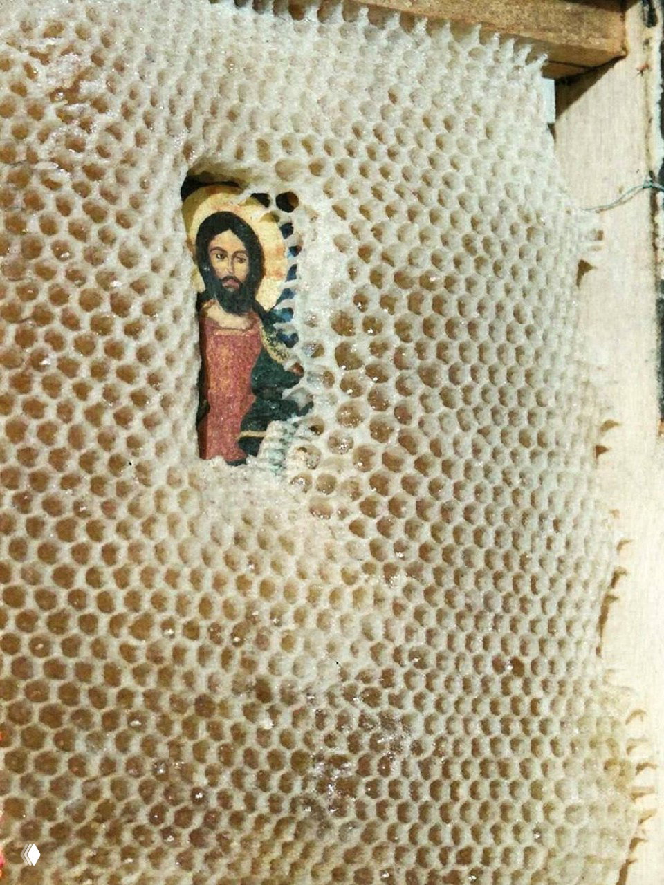 Крупный план внутренней части улья: соты из воска с небольшим участком, где видна христианская икона, вокруг которой пчёлы не покрыли лик воском