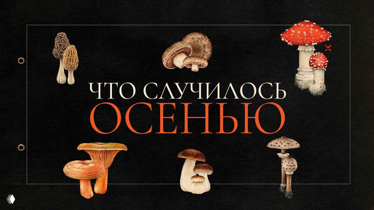 Что случилось осенью (2024)