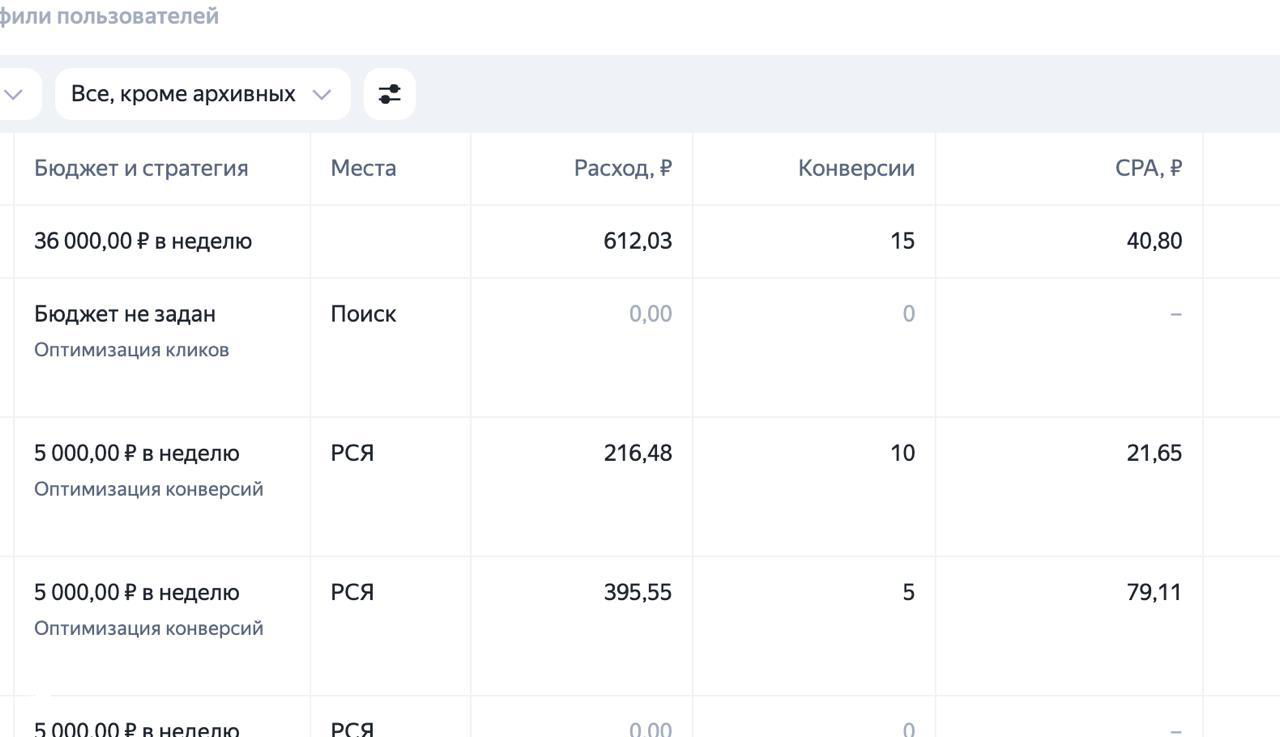 Скриншот отчёта рекламных кампаний: таблица с колонками «Бюджет», «Расход», «Конверсии», «CPA», показаны низкие CPA и расходы по кампаниям.
