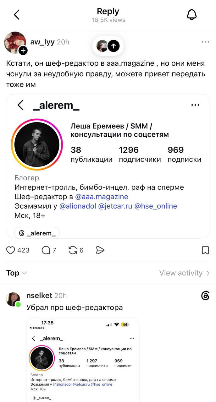 Скриншот профиля пользователя в социальной сети с именем и описанием, на который указывали участники обсуждения в связи с оскорбительным комментарием.