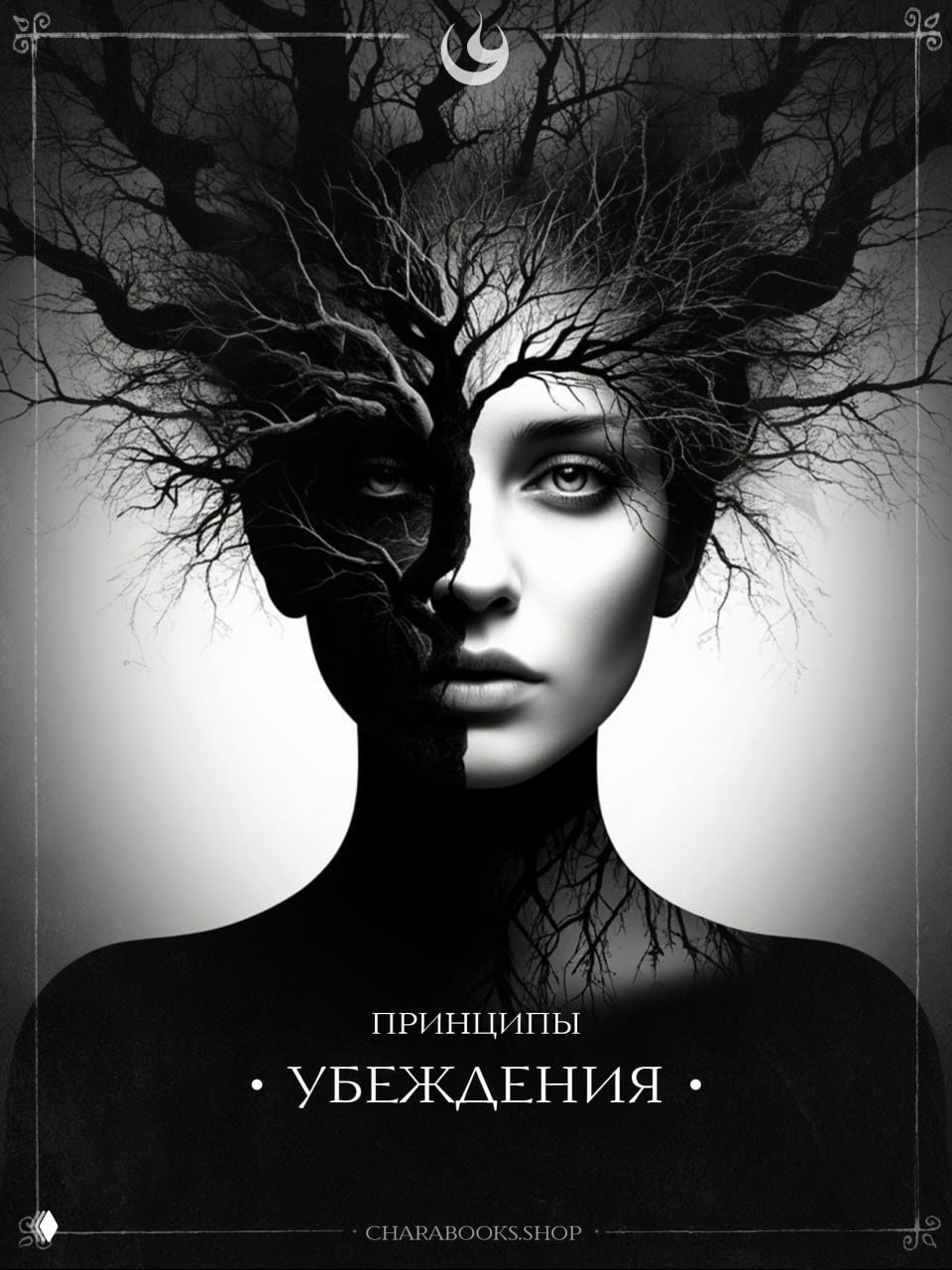Шесть принципов убеждения