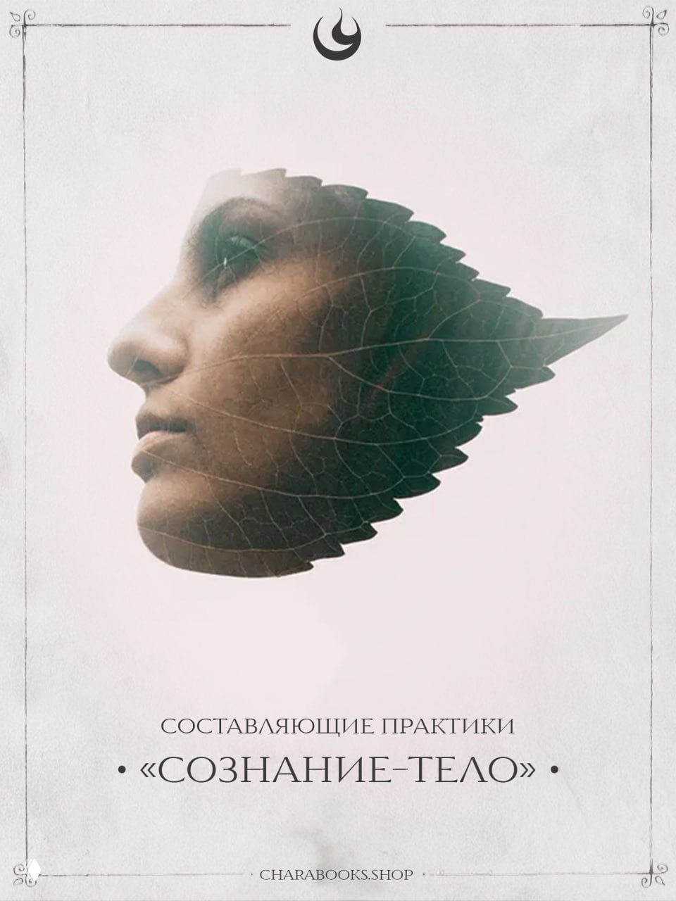 Составляющие практики «Сознание‑тело»