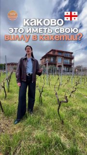 Человек на фоне виноградника и виллы в Кахетии; рекламное фото проекта вилл с винным брендом и гостиничным сервисом, заметны флаги Грузии.