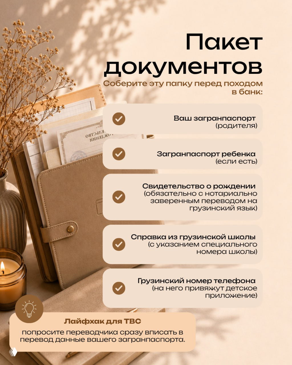 Инфографика списка документов: загранпаспорта, свидетельство о рождении с нотариальным переводом, справка из школы и грузинский номер телефона для привязки приложения.