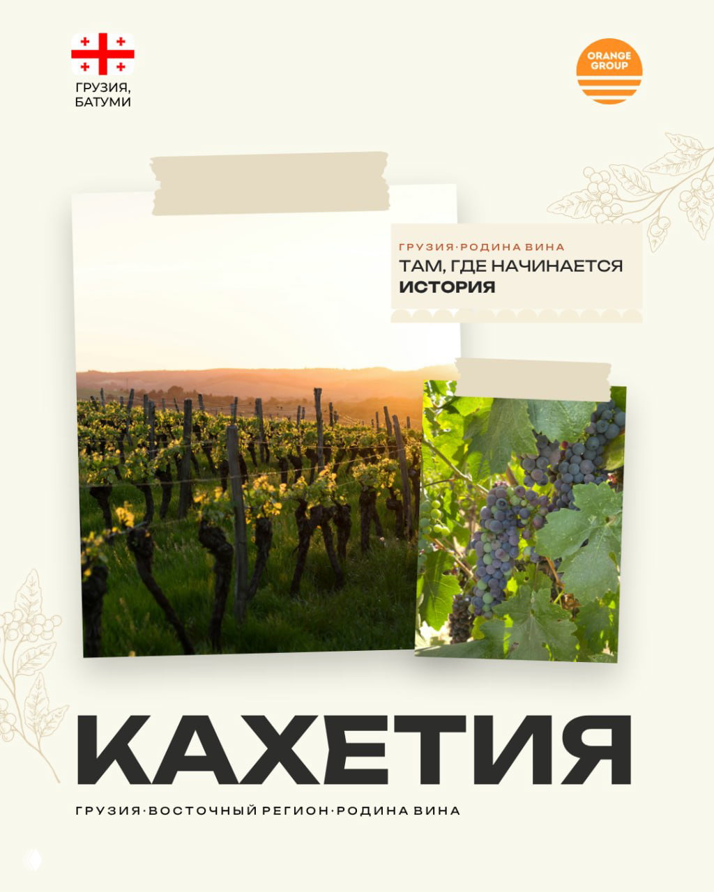 Почему Кахетия заслуживает внимания