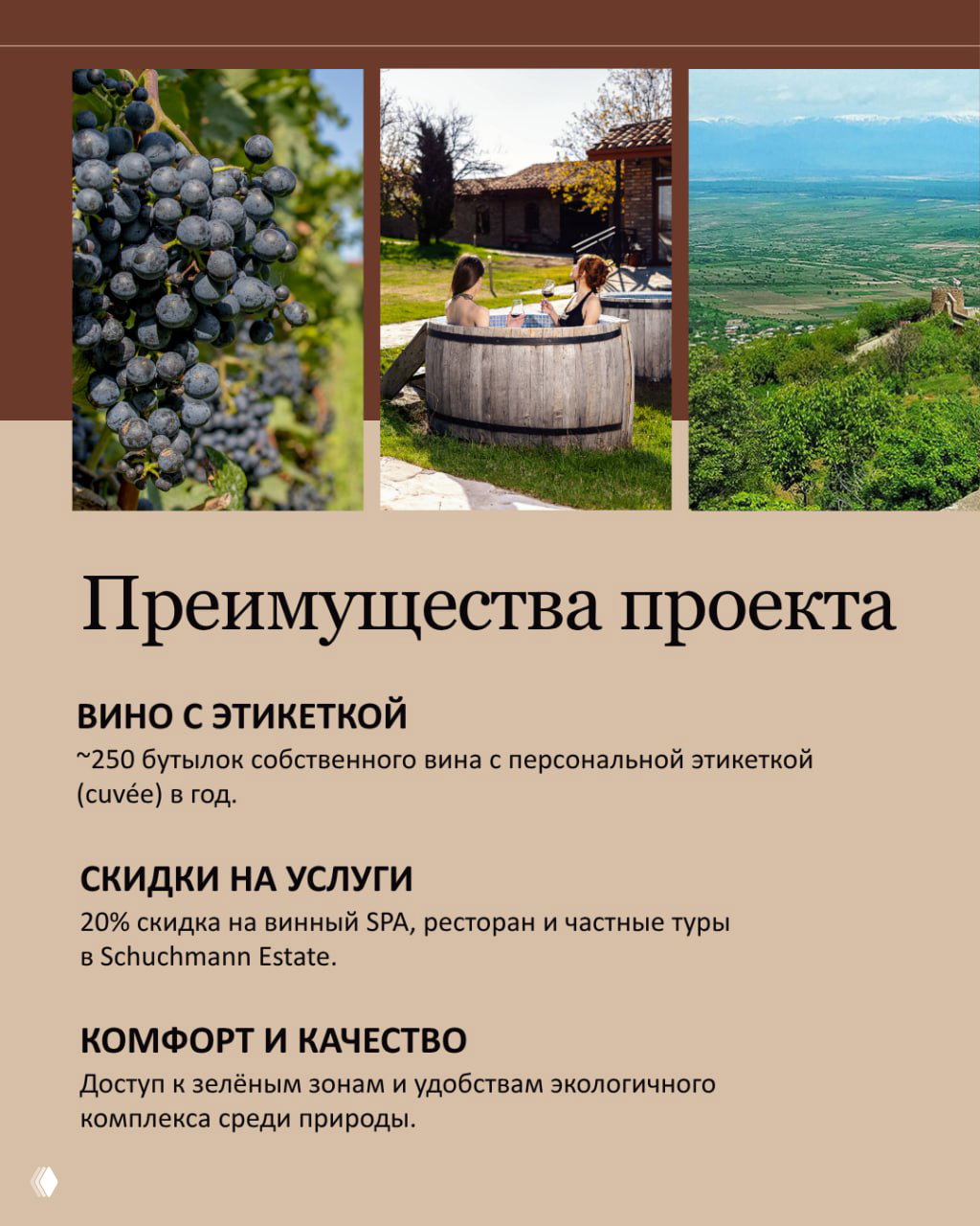 Фотографии виноградников и купелей на фоне долины — акцент на винодельческую часть проекта и ландшафт Алазанской долины.