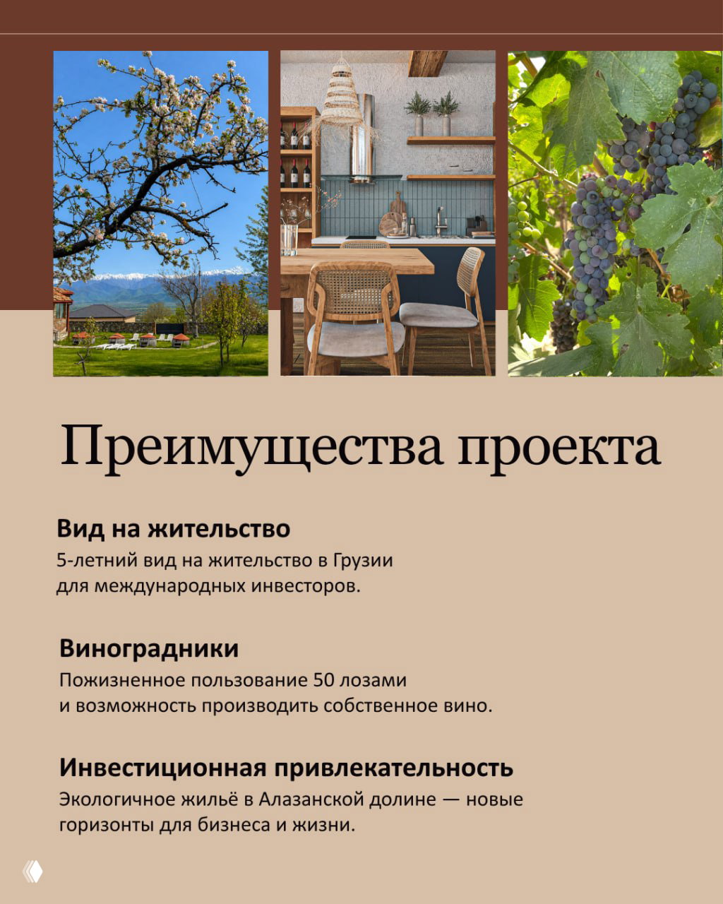 Коллаж с виноградом, видом на долину и интерьером — преимущества проекта: собственное вино, скидки на SPA и 5‑летний вид на жительство.