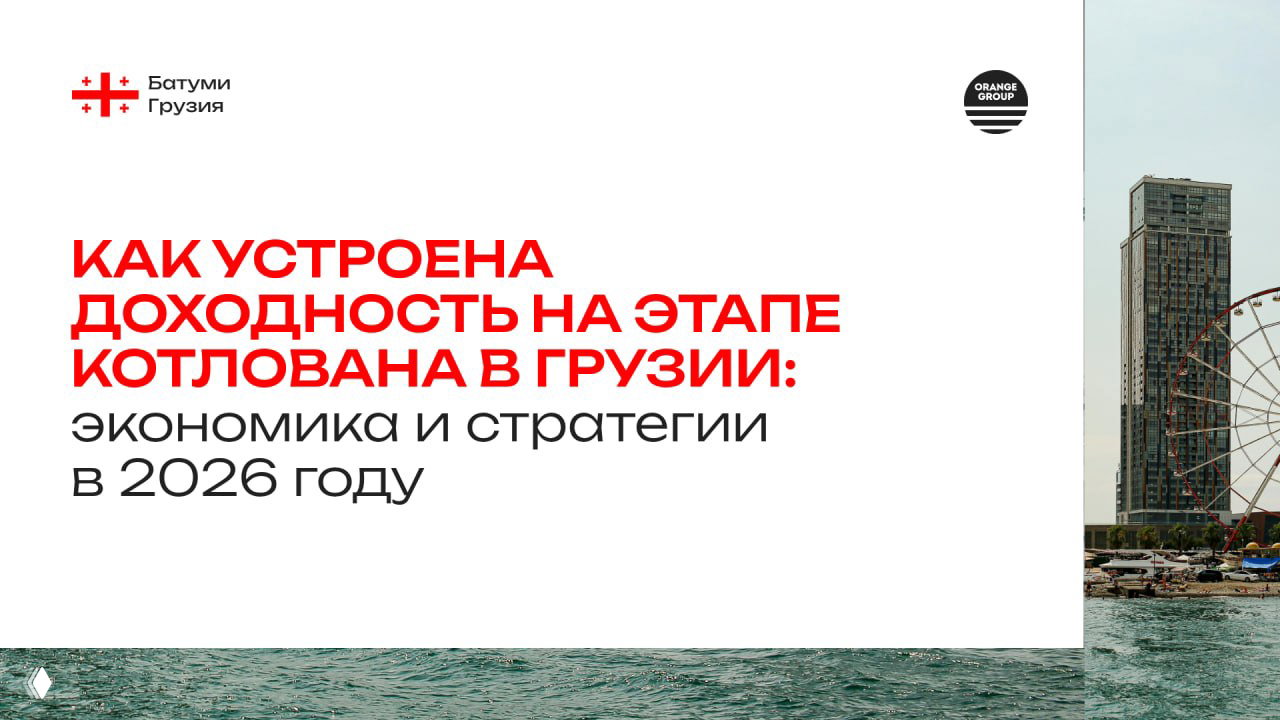 Доходность на этапе котлована в Грузии: экономика 2026