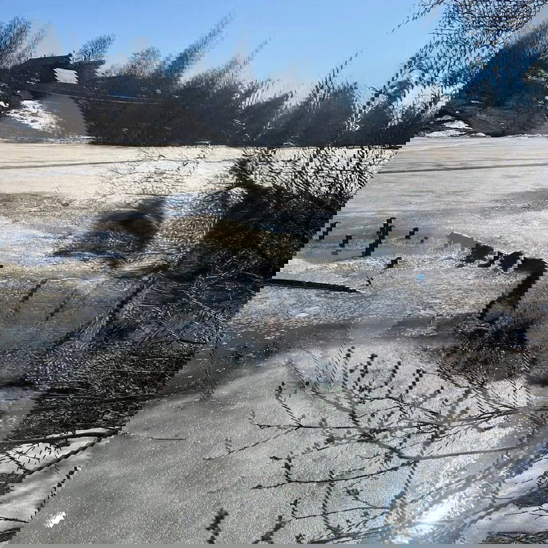 Берег пруда/ручья весной: тающий лёд, пенная поверхность воды и остатки деревянных свай на фоне приусадебных построек.