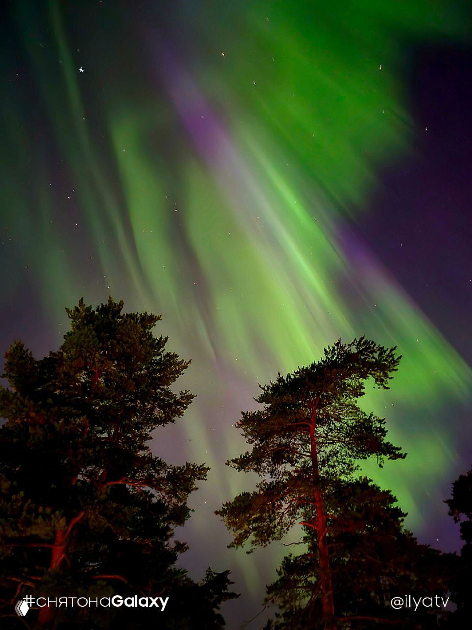 Широкий кадр: зелёные и фиолетовые потоки полярного сияния над силуэтами хвойных деревьев, ночное небо с яркими полосами света и логотип «#снятонаGalaxy».