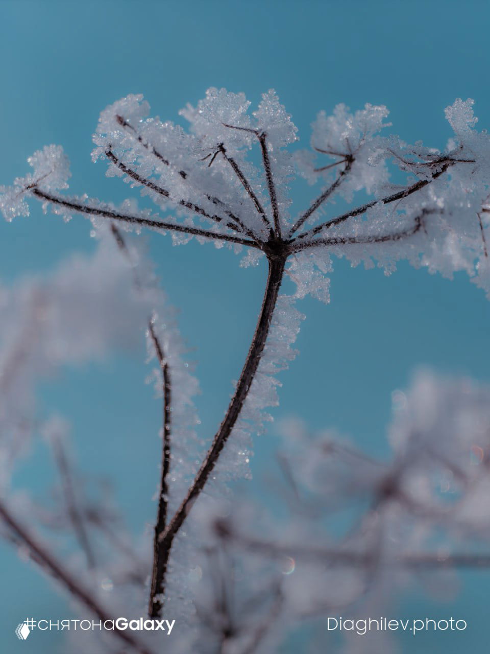 Зима как из сказки — 27 дней до весны