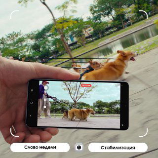 Рука держит смартфон, снимающий корги на прогулке у пруда; на экране видно ровный горизонт и интерфейс стабилизации.