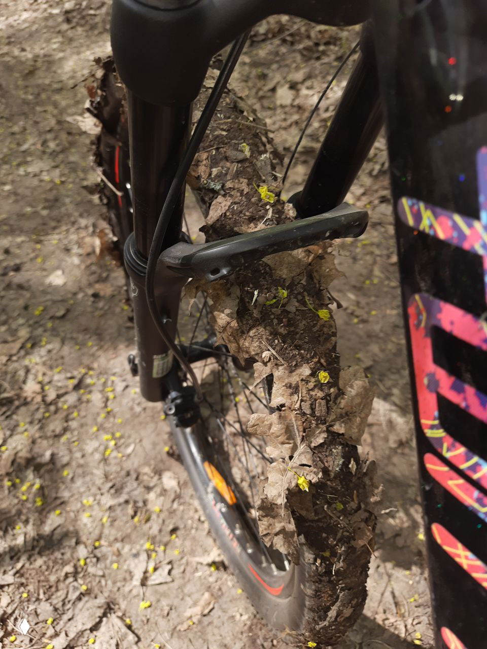Крупный план переднего колеса и вилки, на протекторе запутавшиеся листья и грязь после поездки по лесной тропе; деталь эксплуатации байка.