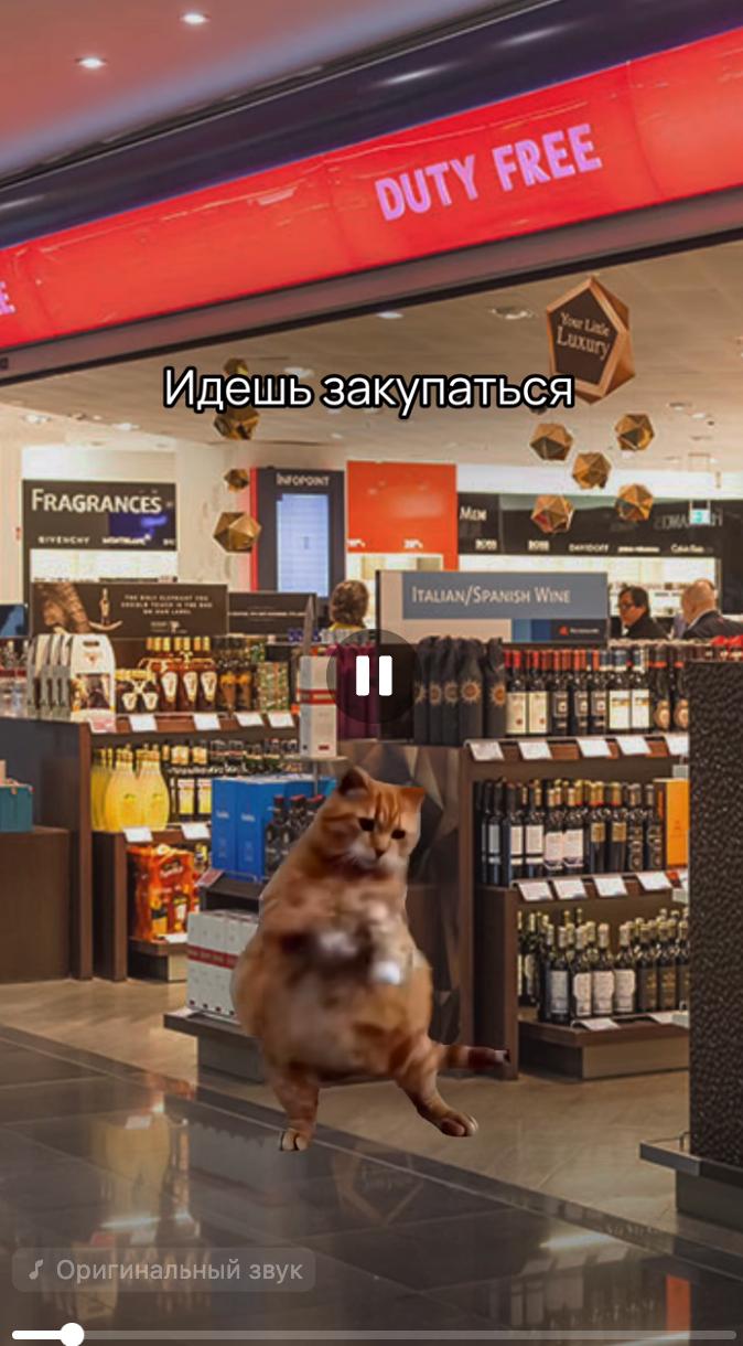 Раскрытие сложных тем через мемы и юмор